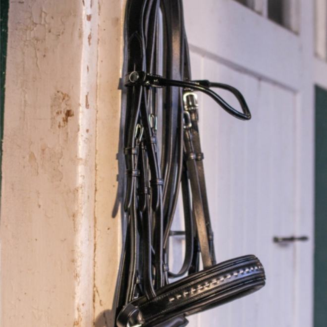 Bride en cuir noir suspendue dans une écurie, équipement d’équitation Cap Horse